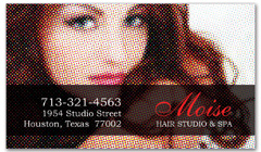 BCS-1031 - salon business card